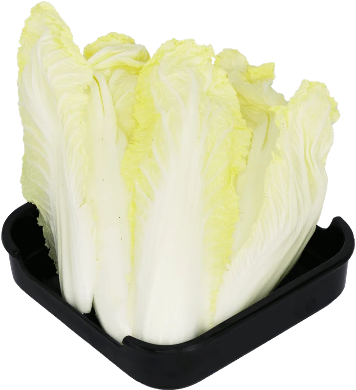 Chinese Cabbage - ผักกาดขาว for shabu shabu and grill