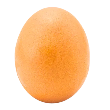 Egg - ไข่ไก่ for shabu shabu and grill