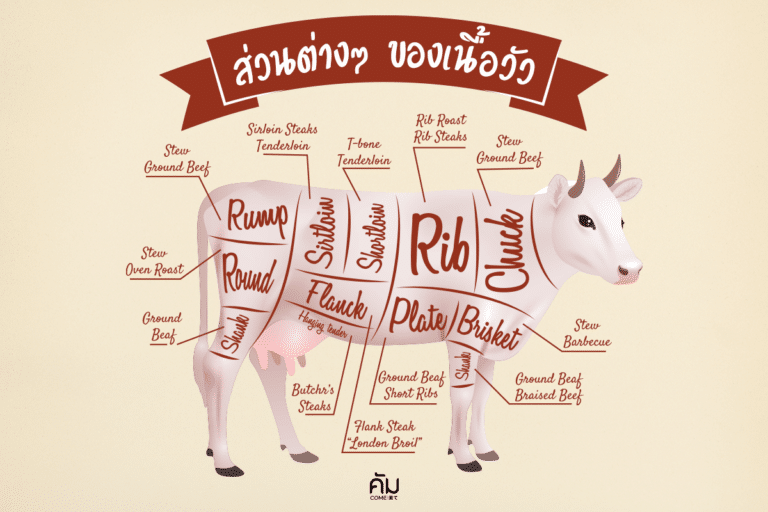 เนื้อวัวส่วนต่างๆ-parts-of-beef