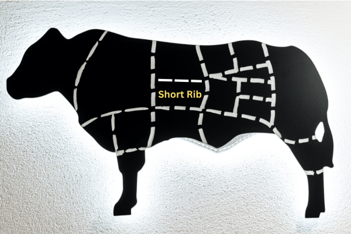 เนื้อวัวส่วนต่างๆ-short-rib-cut-location-e1683858628329-2