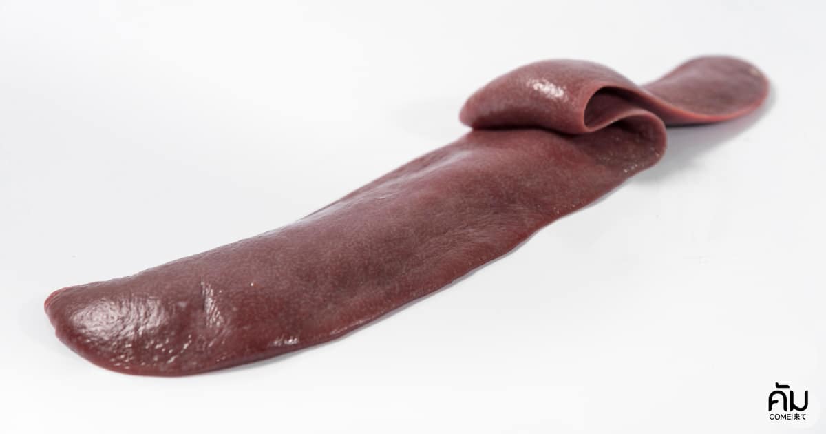 ประโยชน์ของเนื้อวัว-spleen-cow