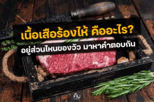 เนื้อเสือร้องไห้-คืออะไร
