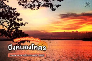 บึงหนองโคตร