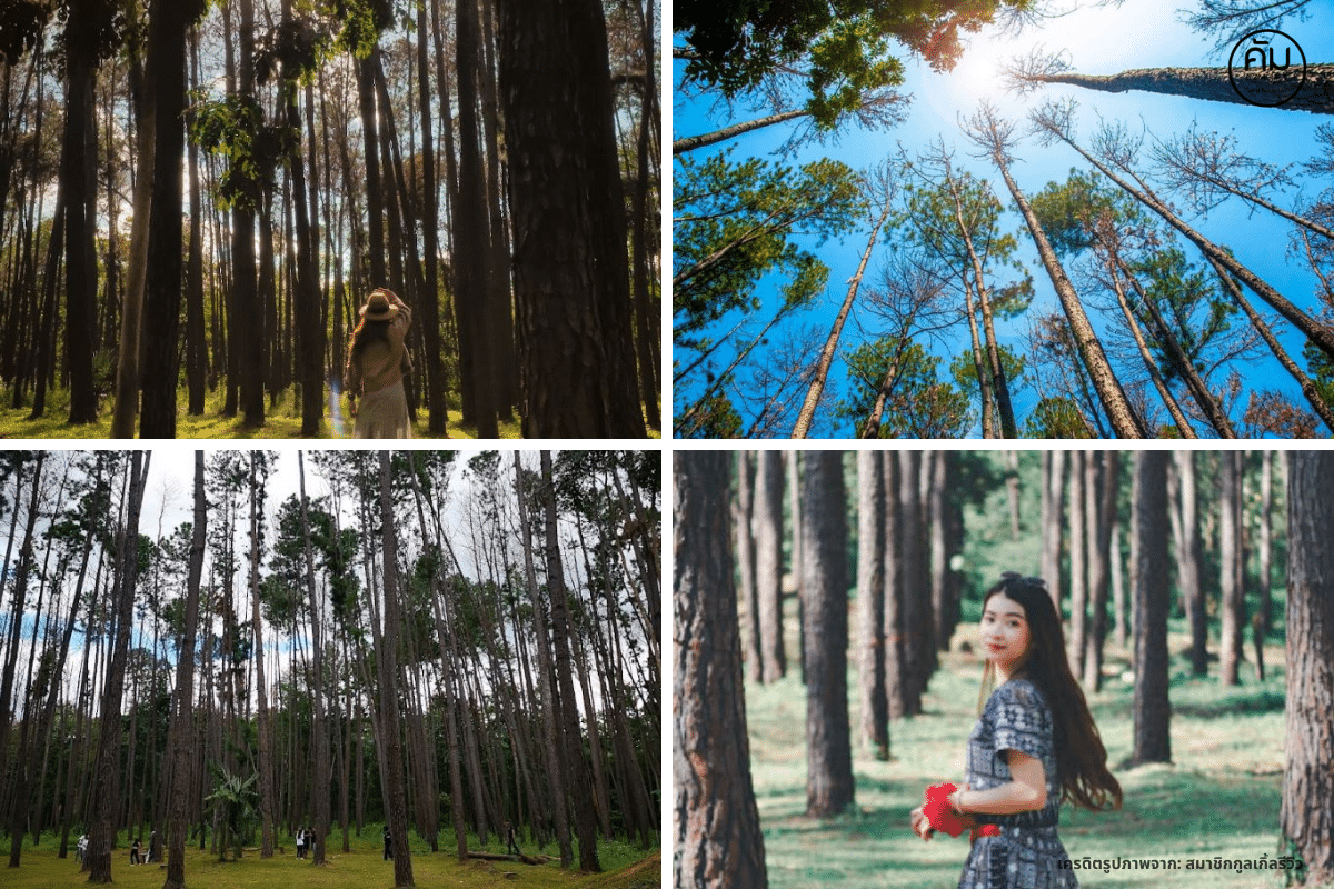 ภูผาม่าน-สวนสนดงลาน