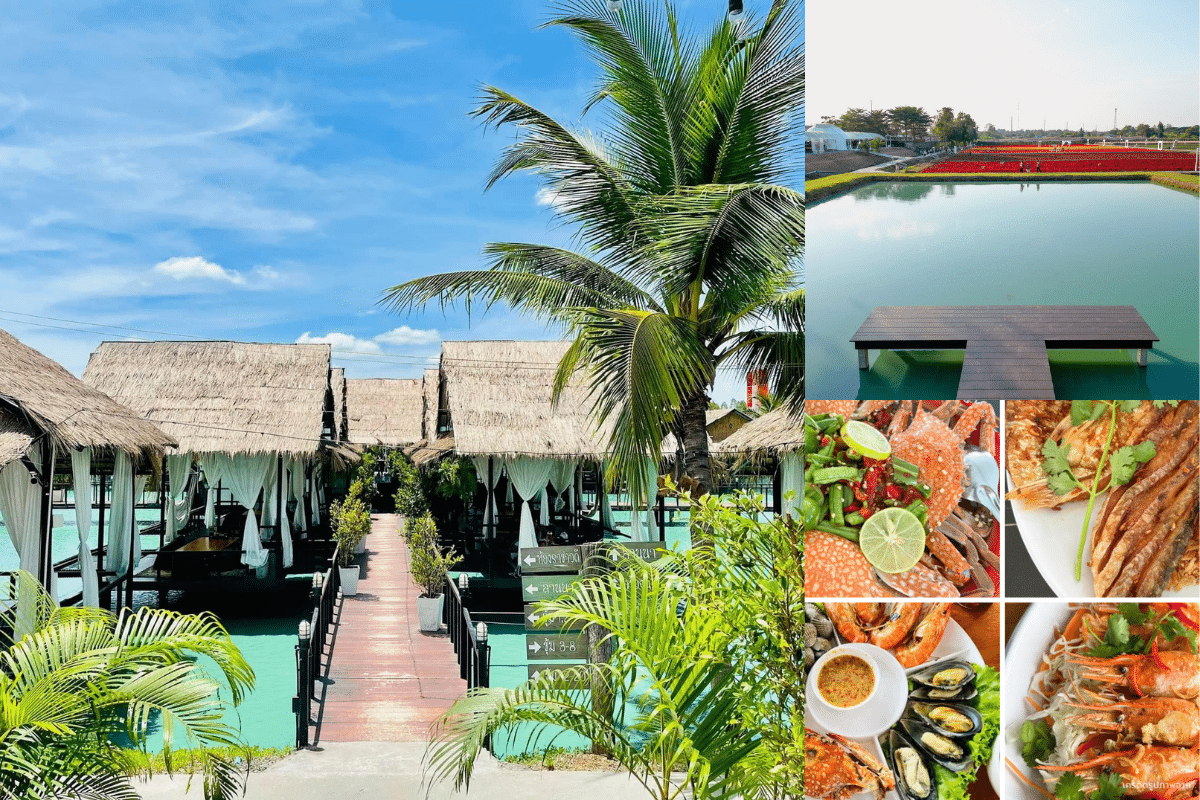 ร้านอาหารขอนแก่น-จ้วด-คาเฟ่ขอนแก่น