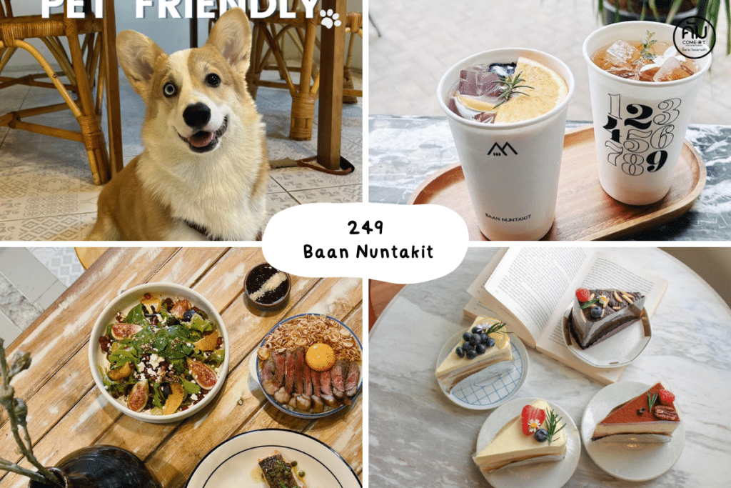 คาเฟ่ขอนแก่น สัตว์เลี้ยงเข้าได้