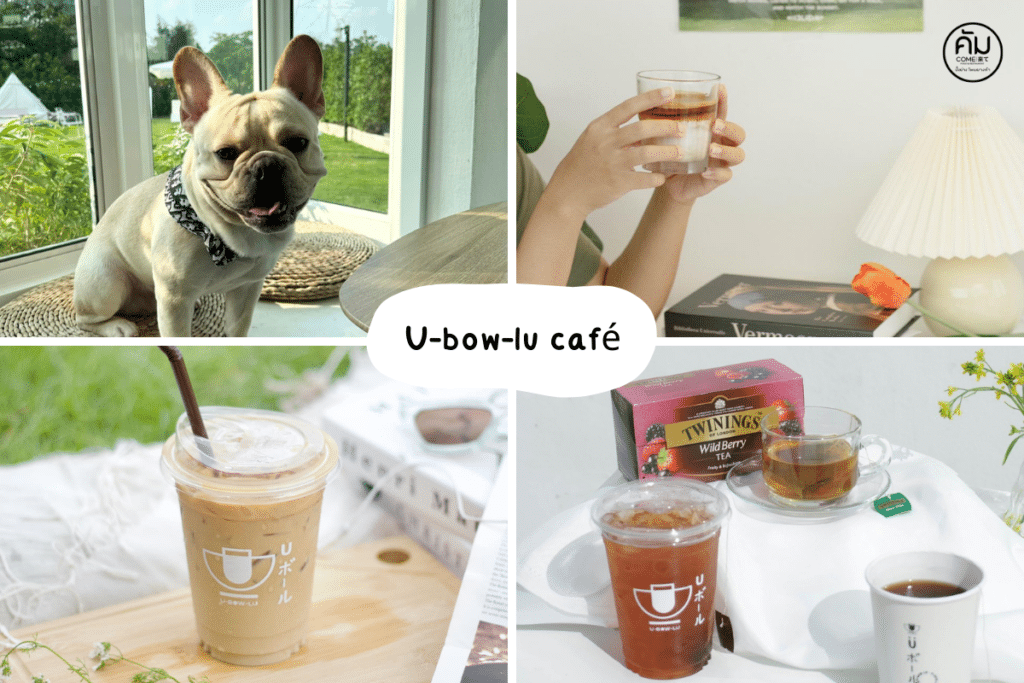 คาเฟ่ขอนแก่น สัตว์เลี้ยงเข้าได้