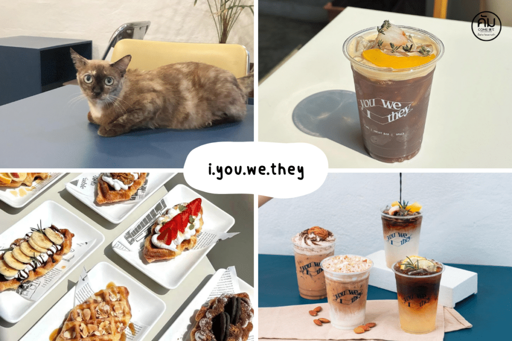 คาเฟ่ขอนแก่น สัตว์เลี้ยงเข้าได้