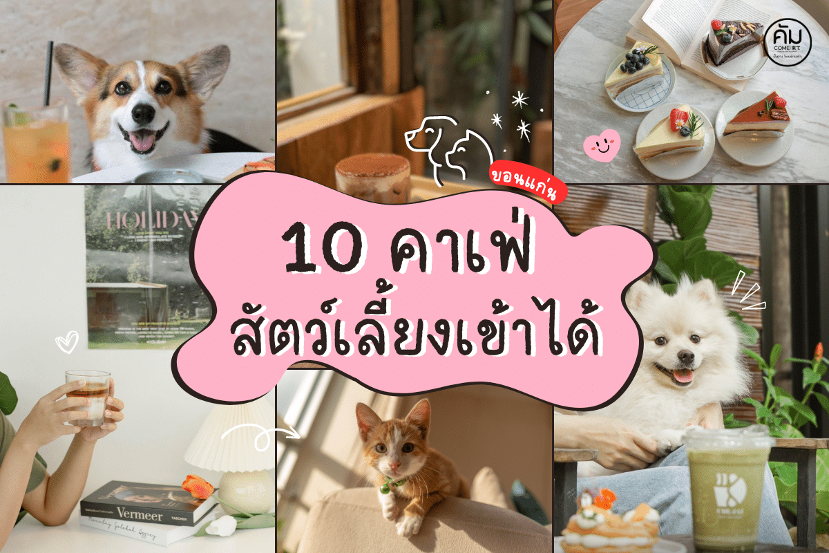 คาเฟ่ขอนแก่น สัตว์เลี้ยงเข้าได้