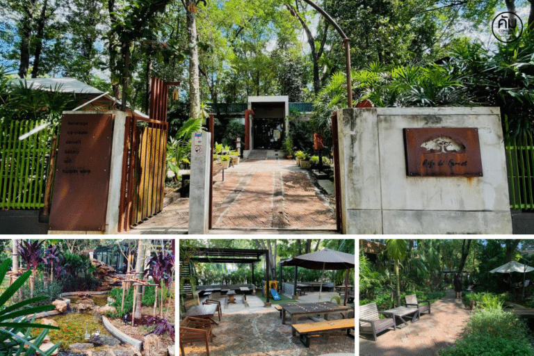 Cafe de' Forest สำนักงานป่าไม้