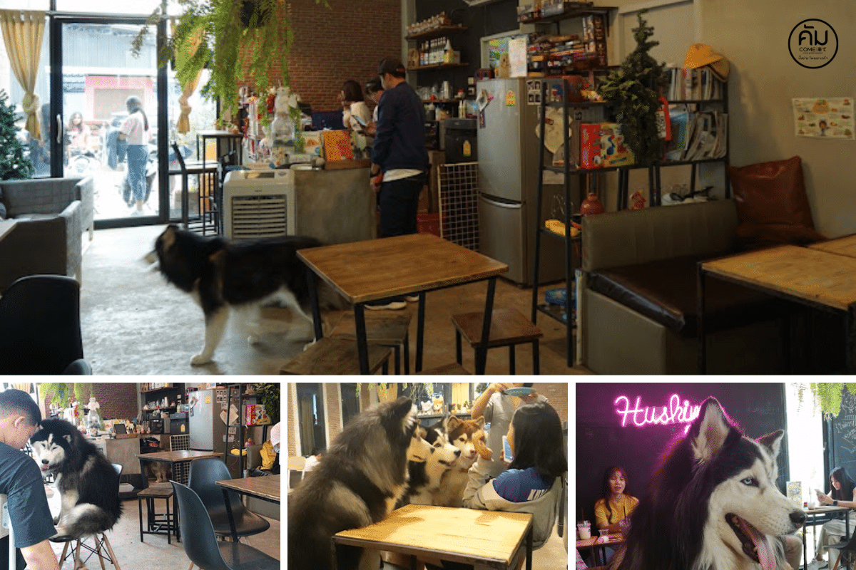 HuskimoCAFE&Bar(คาเฟ่ ฮัสกี้)