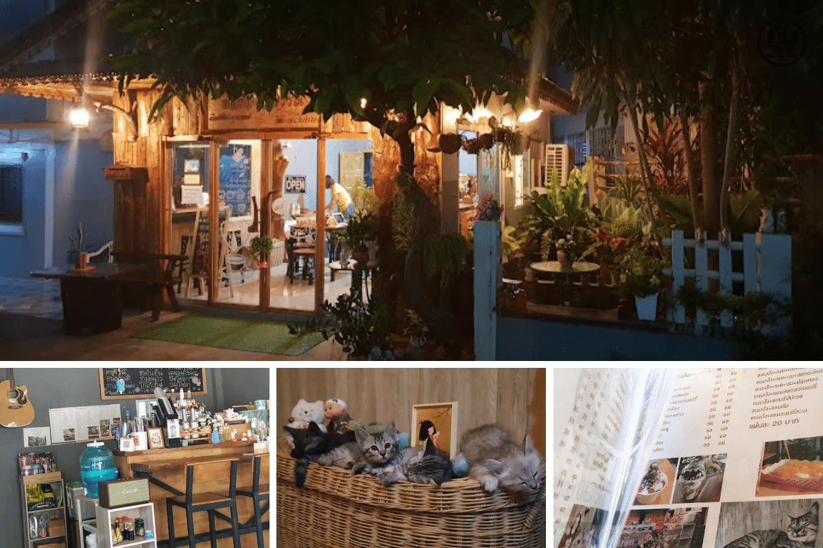 Koneko Coffee - โคะเนะโกะ