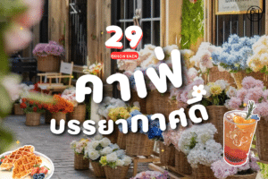 คาเฟ่บรรยากาศดี ขอนแก่น