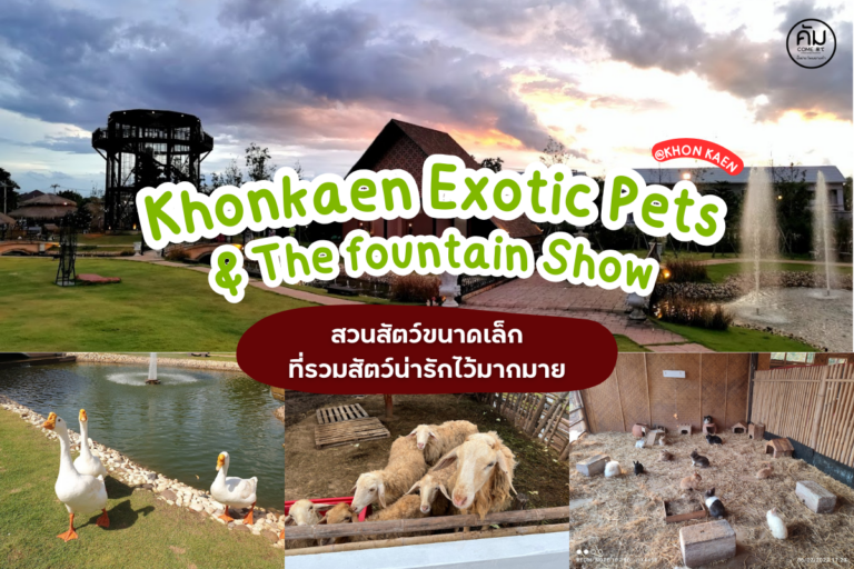 Khonkaen Exotic Pets & The fountain Show