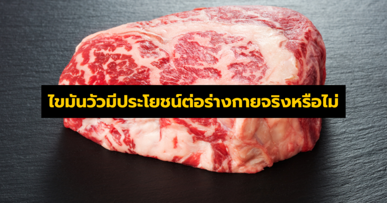ไขมันวัวมีประโยชน์ต่อร่างกายจริงหรือไม่