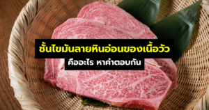 ชั้นไขมันลายหินอ่อนของเนื้อวัว